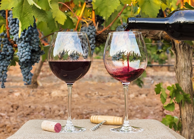 A Quartet of Bordeaux Wines