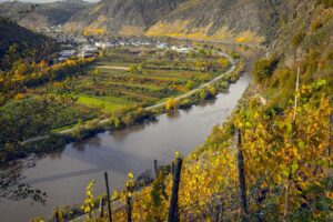 Moselle Vineyards