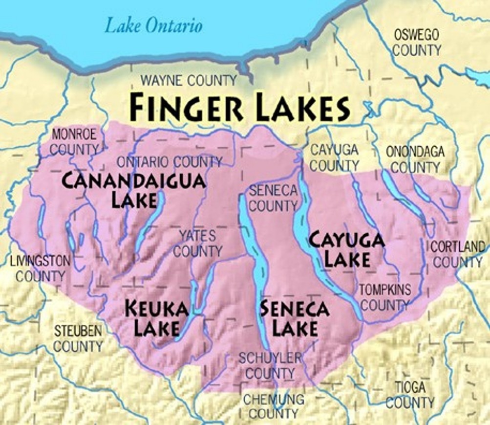 The Finger Lakes — Wine Country